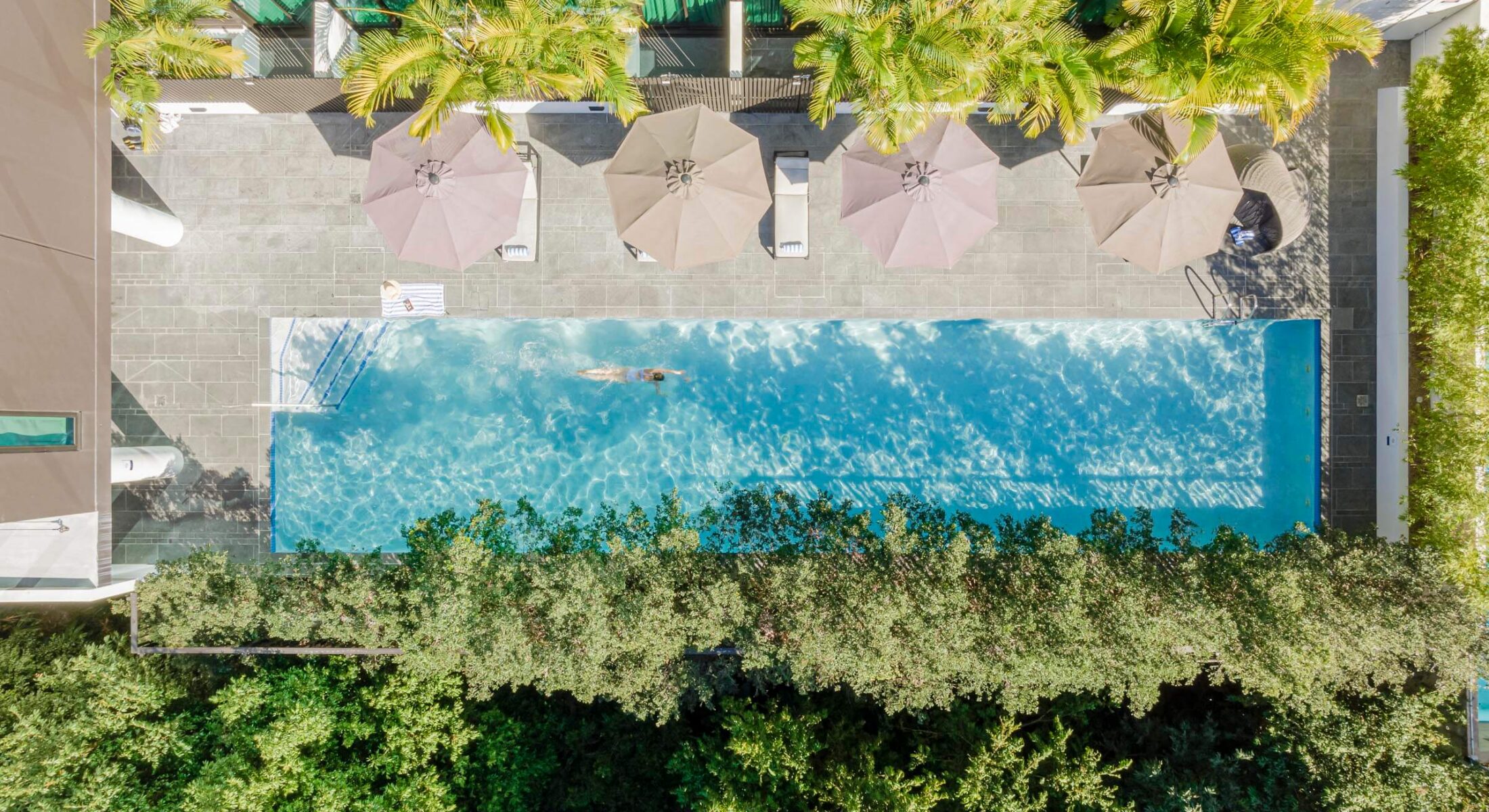 Aerial view of an outdoor pool at Novotel Brisbane South Bank, with a swimmer in clear blue water, surrounded by sun loungers, umbrellas and lush greenery